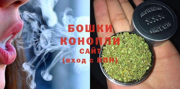 каннабис Корсаков