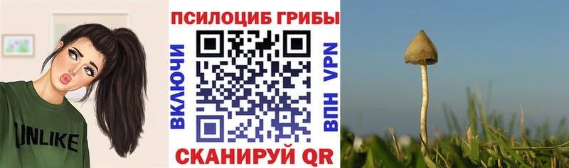 Галлюциногенные грибы мухоморы  Калач 